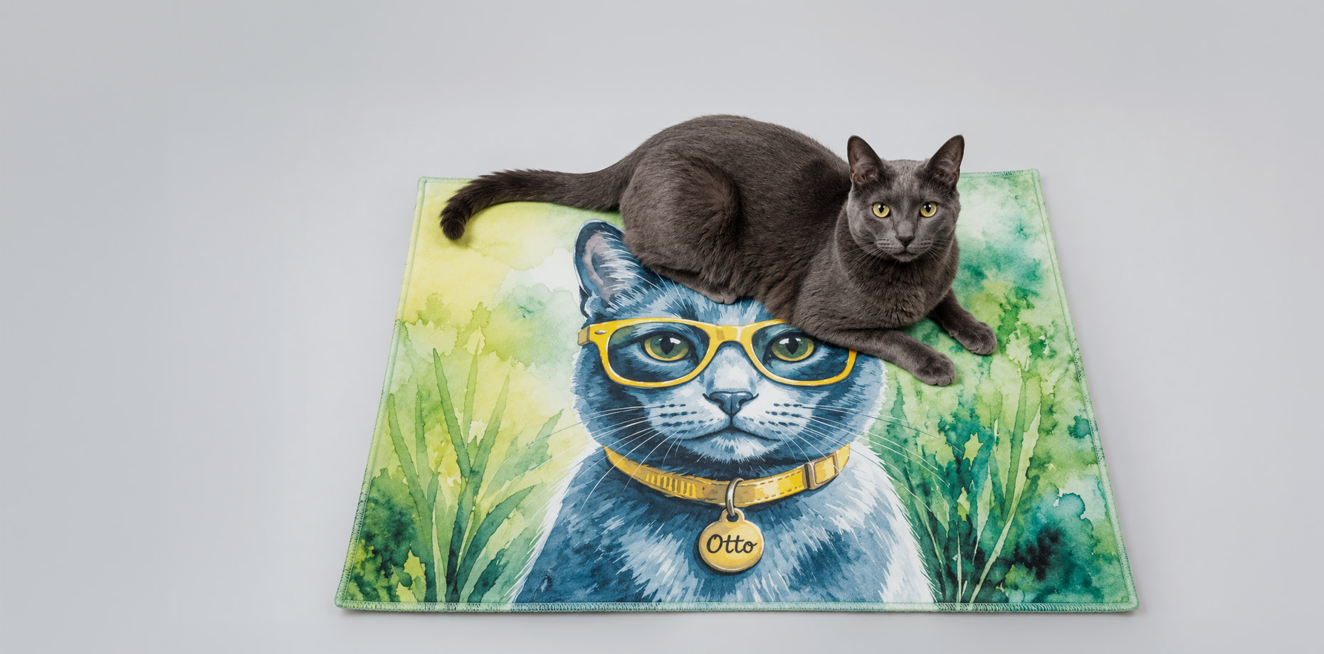 gato4